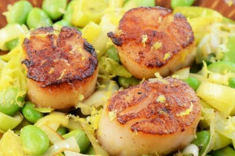 Coquilles Saint-Jacques et fondue de poireaux